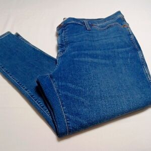 Madewell Blue Skinny Jeans Sleek Fit